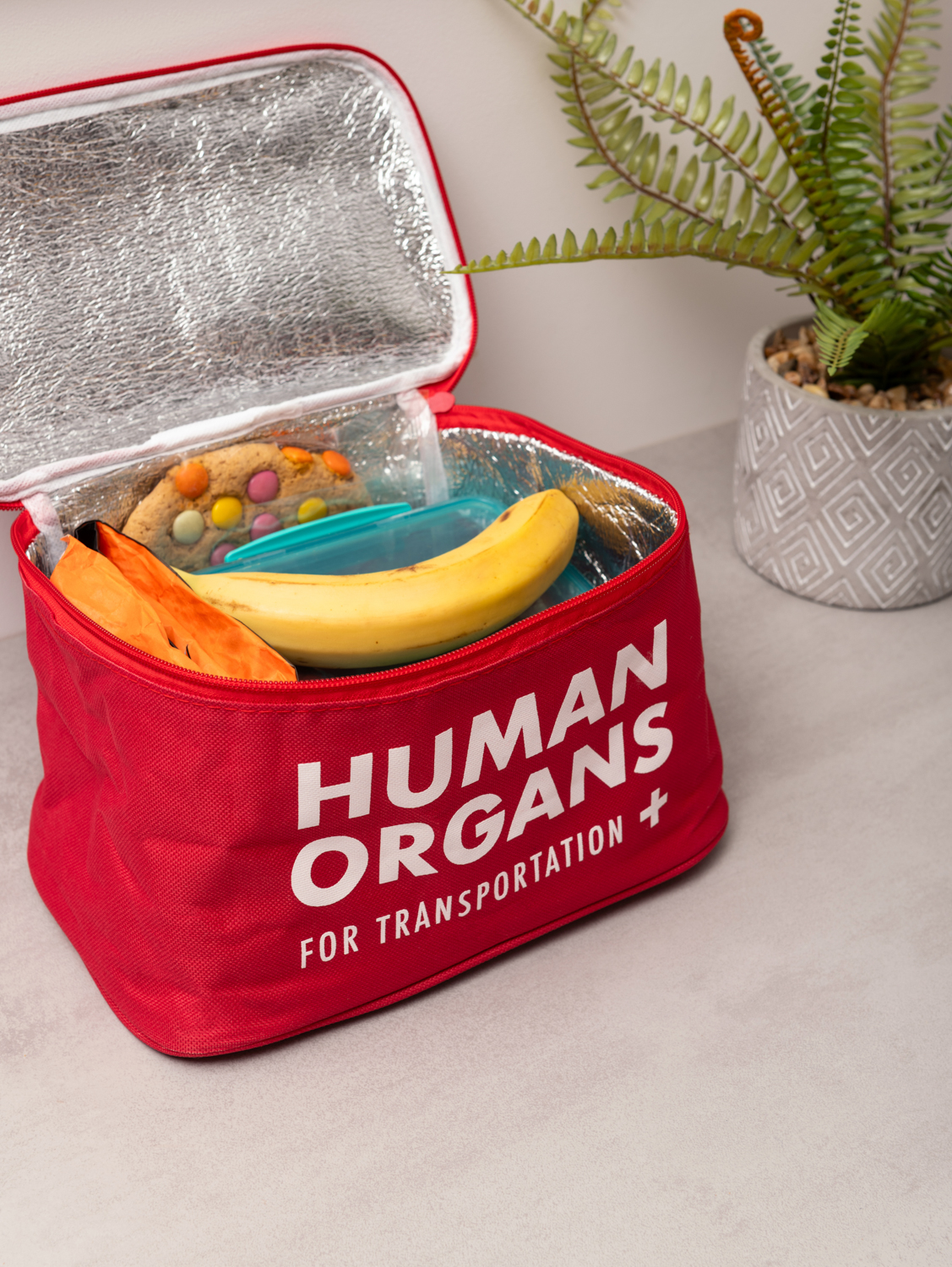 Human Organs - Image 3