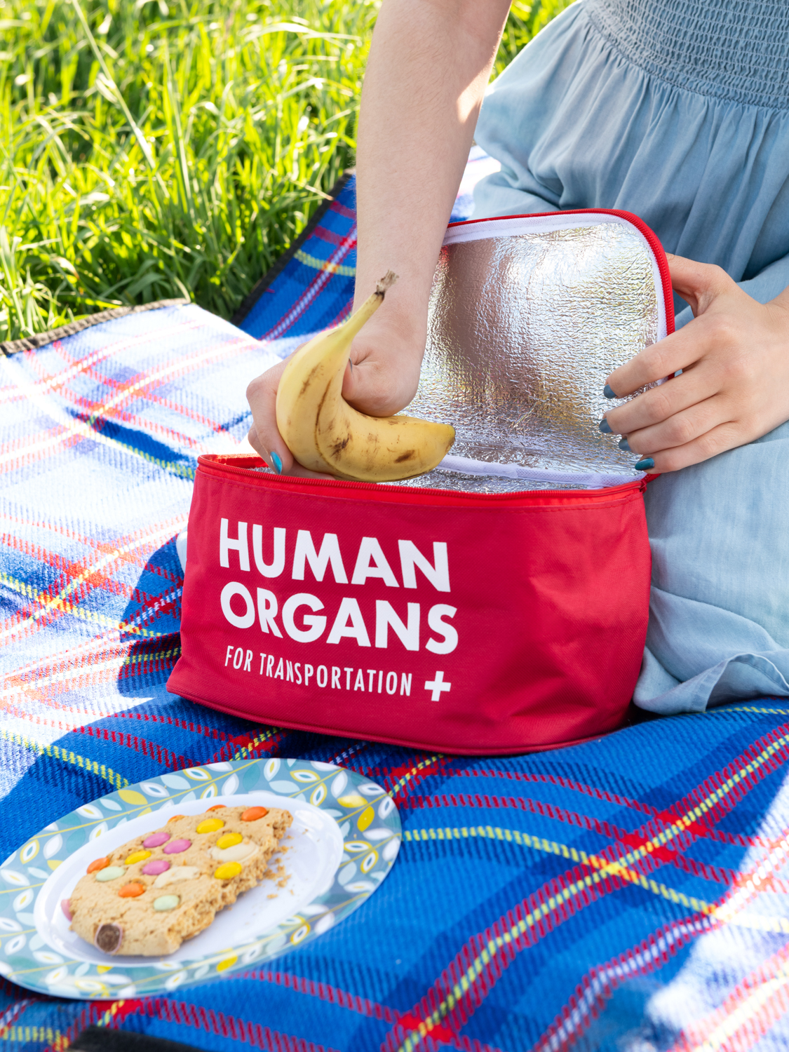 Human Organs - Image 5