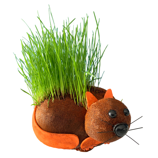 grow your own hair pussy wholesale gift