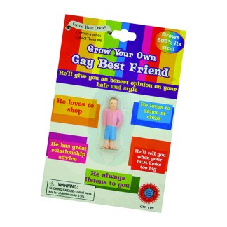 Grow Your Own Gay Best Friend from The Diabolical Gift People