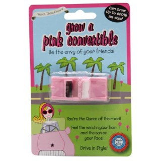 Grow A Pink Convertible from The Diabolical Gift People